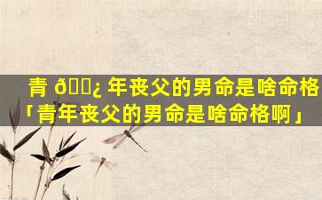 青 🌿 年丧父的男命是啥命格「青年丧父的男命是啥命格啊」